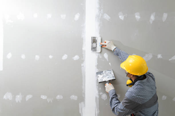 Best Environmental Consulting for Mold Prevention  in Lake Arrowhead, CA