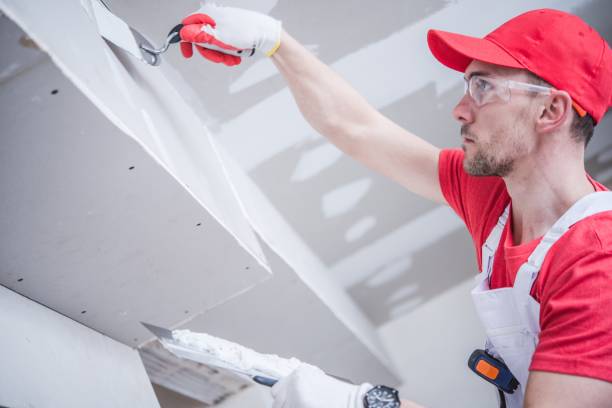 Best Mold Remediation for Healthcare Facilities  in Lake Arrowhead, CA